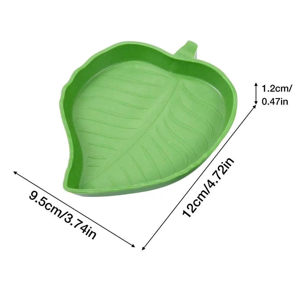 Reptile Food/Water Bowl