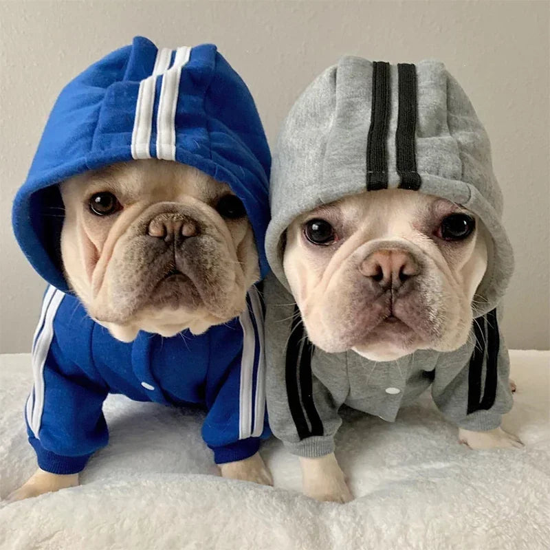 Adidog Puppy Jumpsuit with Hoodie!