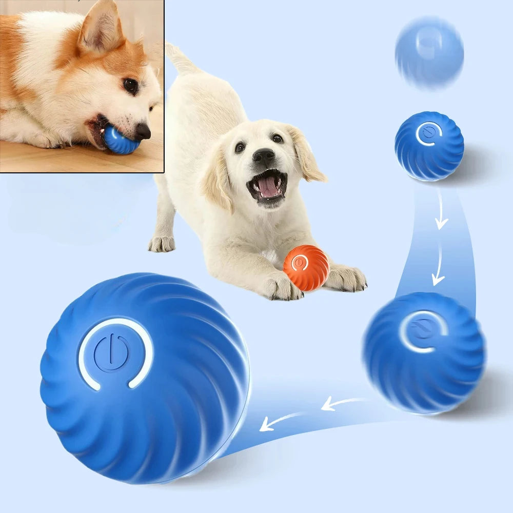 Dog Toy: Moving, Rolling Chew Ball