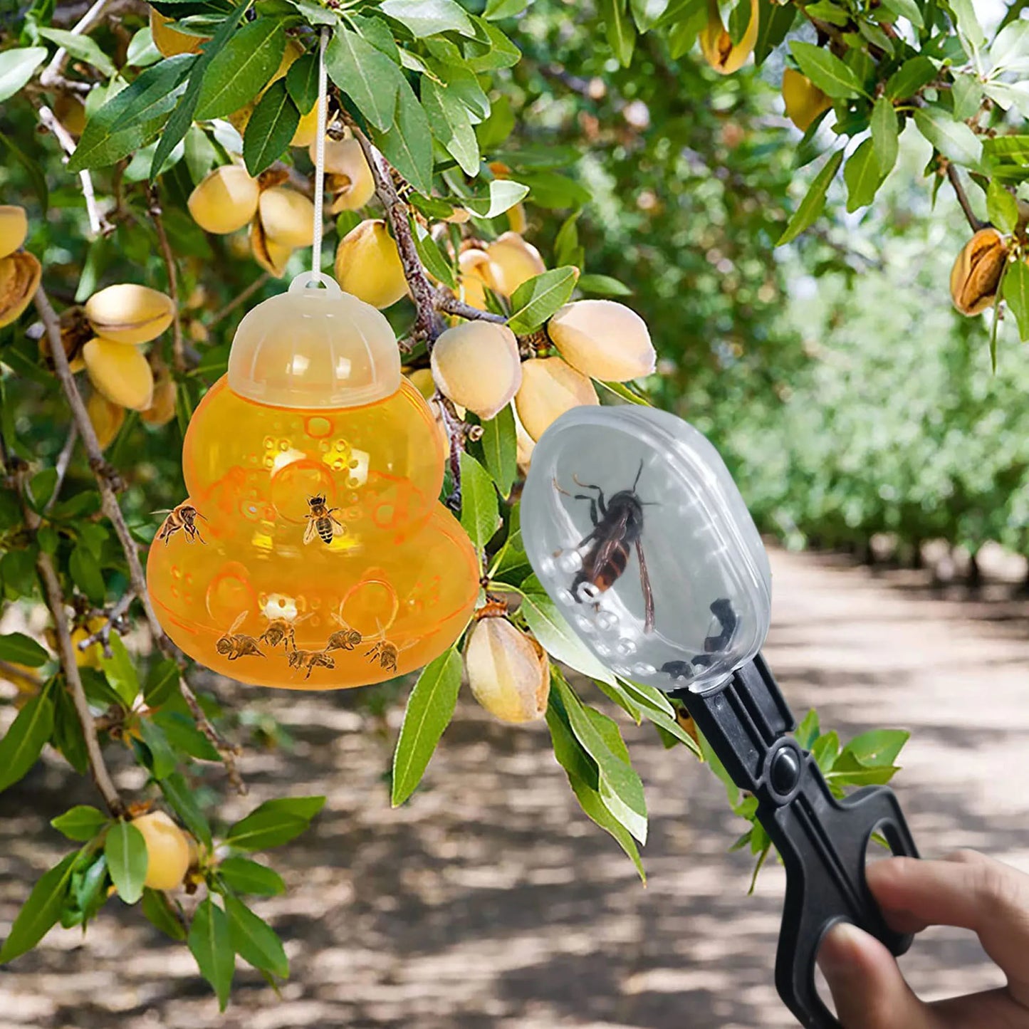 Plastic Tongs for Lizards and Insects