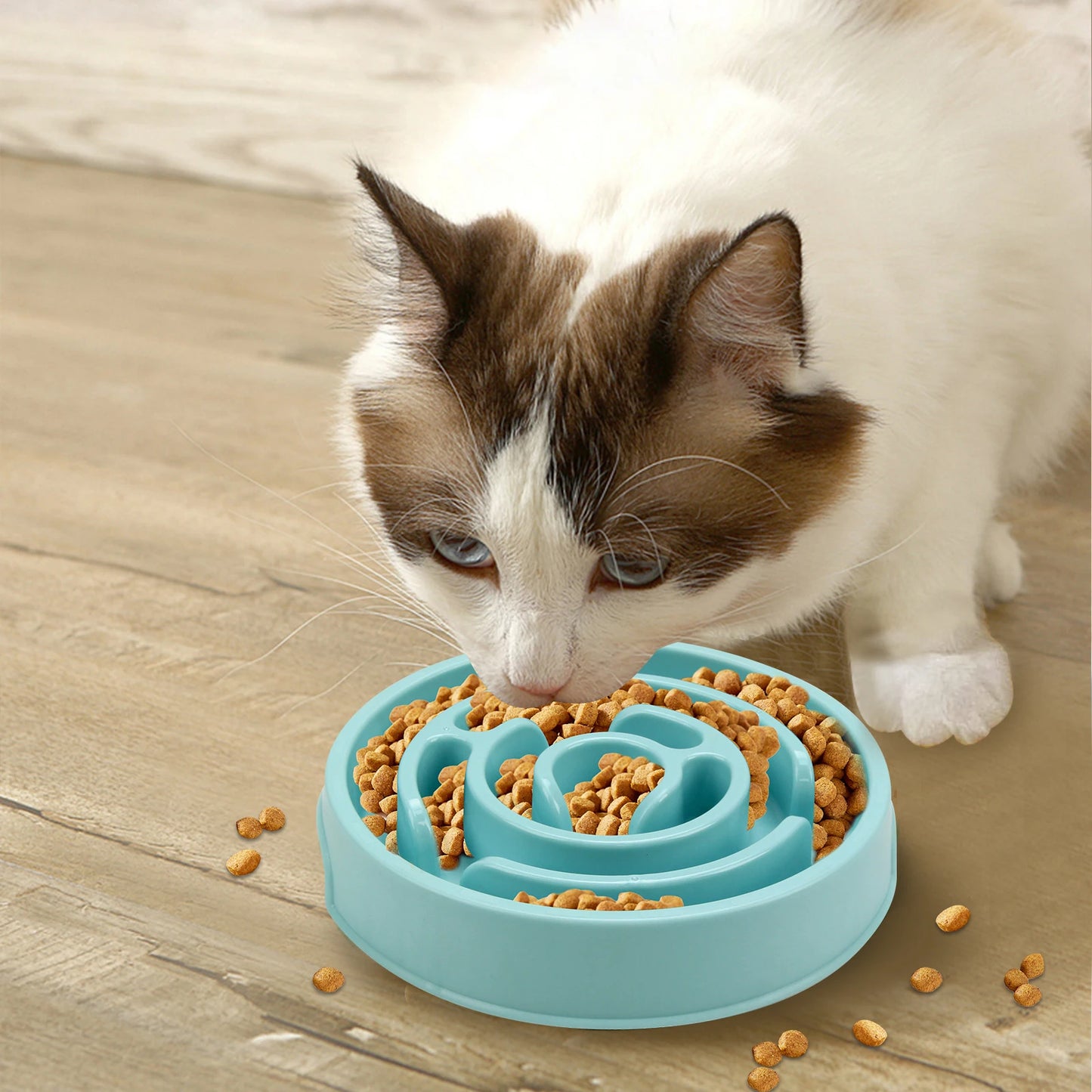 Dog/Cat Slow Feeder Bowl