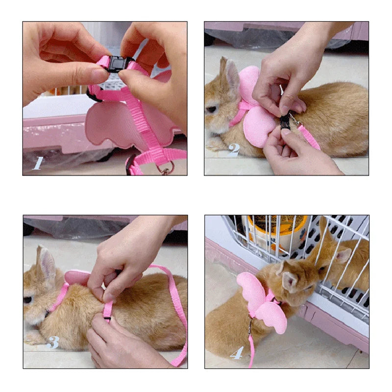 Angel Wing Harness and Leash for Cats, Rabbits and Small Pets