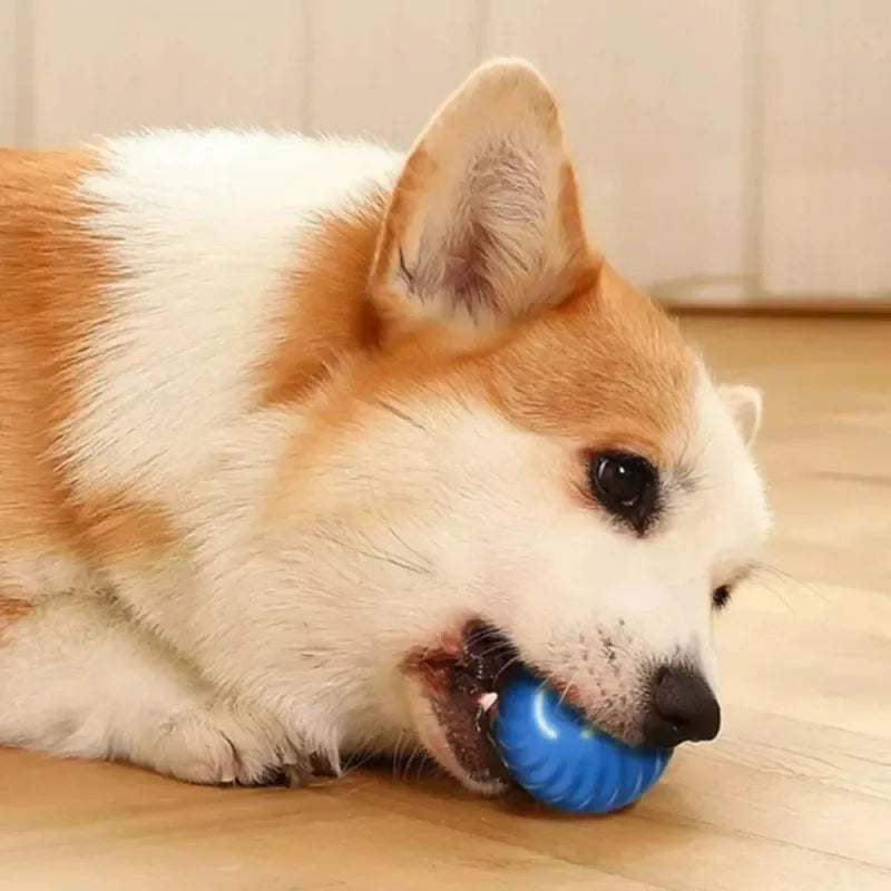 Dog Toy: Moving, Rolling Chew Ball