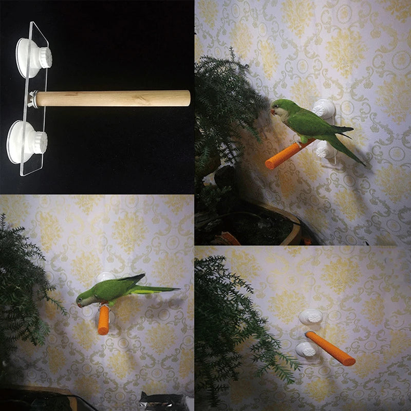 Parrot Wooden Standing Stick