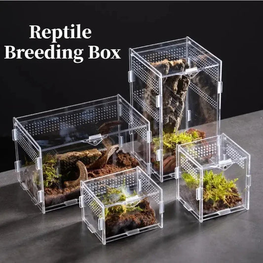 Acrylic Reptile Terrarium Breeding Box