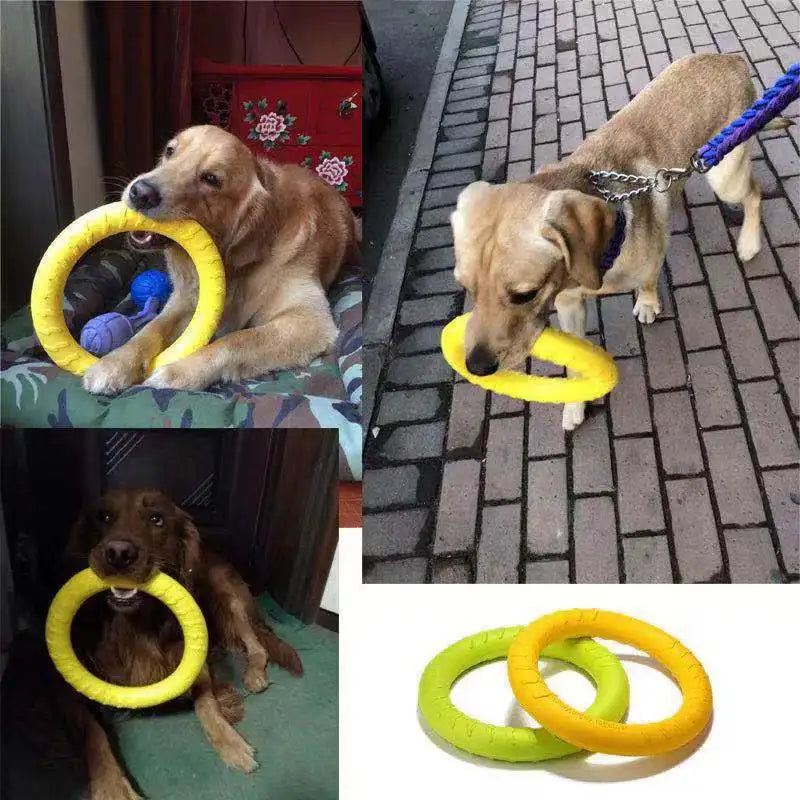 Flying Disk/Ring Chew Toy for Dogs