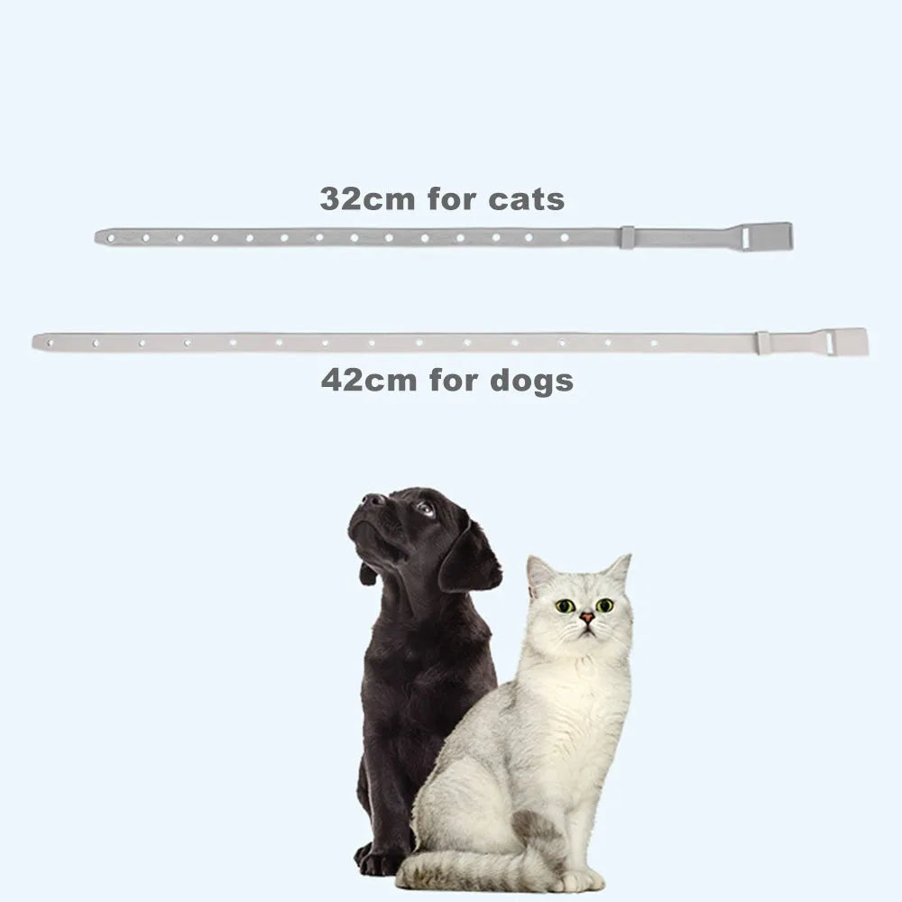 Anti-Flea Tick Collar For Cat or Small Dog