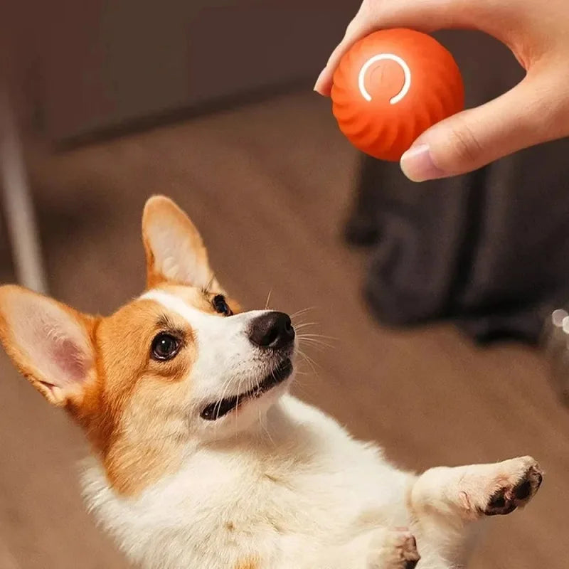 Dog Toy: Moving, Rolling Chew Ball