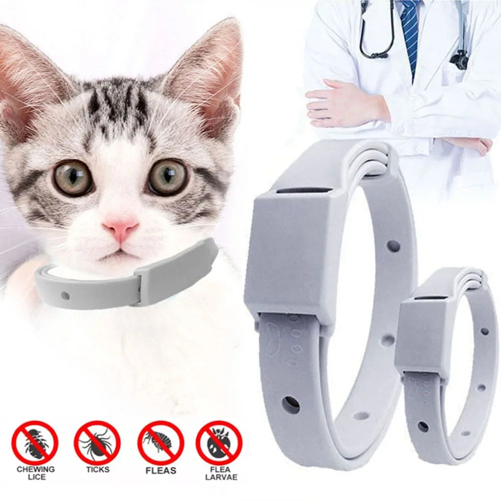 Anti-Flea Tick Collar For Cat or Small Dog