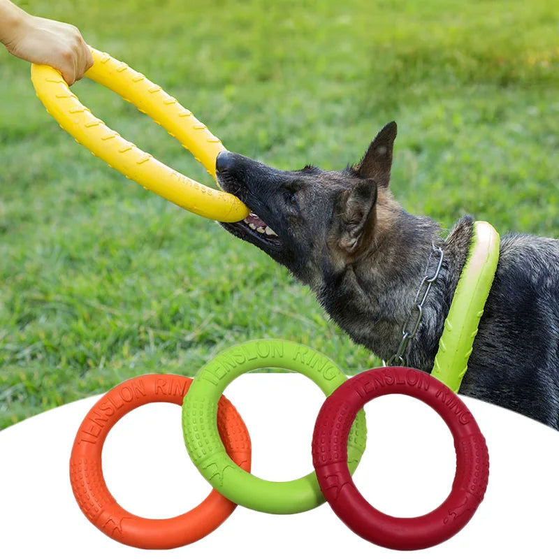 Flying Disk/Ring Chew Toy for Dogs