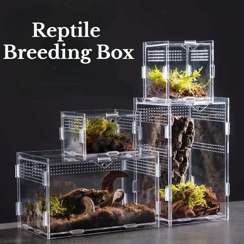 Acrylic Reptile Terrarium Breeding Box